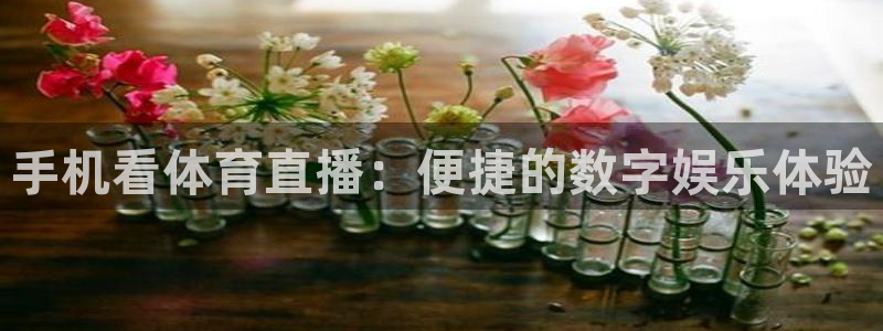 手机看体育直播：便捷的数字娱乐体验