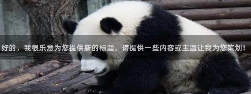好的，我很乐意为您提供新的标题，请提供一些内容或主题让我为您策划！