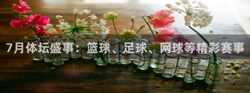 7月体坛盛事：篮球、足球、网球等精彩赛事