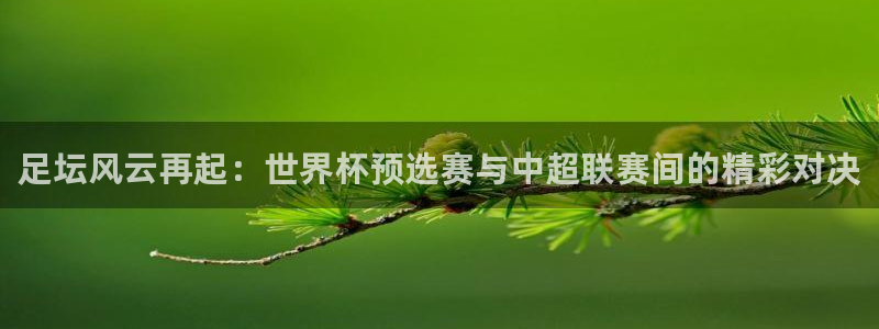 科特迪瓦足球世界杯排名：足坛风云再起：世界杯预选赛与中超联赛间的精彩对决
