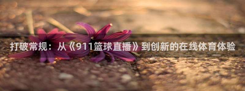 世界杯15号赛事