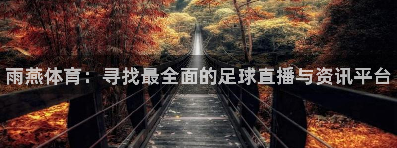 世界杯在哪个软件可以看直播：雨燕体育：寻找最全面的足球直播与资讯平台