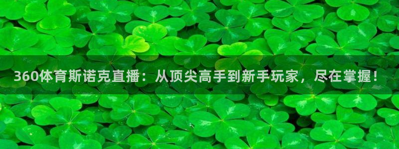 世界杯题材股：360体育斯诺克直播：从顶尖高手到新手玩家，尽在掌握！