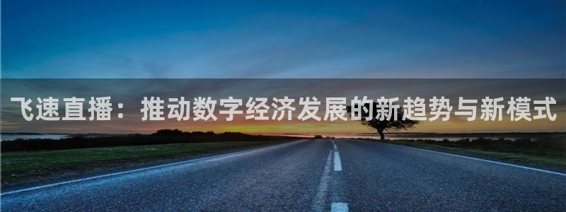 世界杯美洲区世预赛赛程：飞速直播：推动数字经济发展的新趋势与新模式