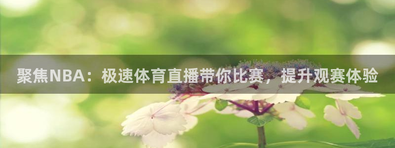 世界杯比赛回放：聚焦NBA：极速体育直播带你比赛，提升观赛体验